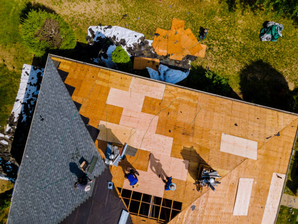 Best Roof Maintenance Services  in Beverly, NJ